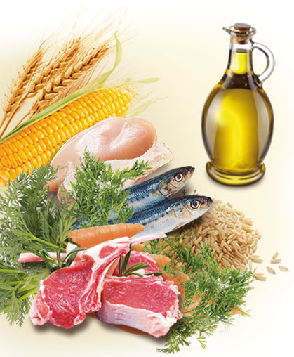ingredienti